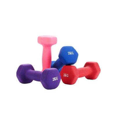 China Gaion Durable Strength Training Hex Indoor Dumbbells Home Fitness Equipment Dumbbells for sale