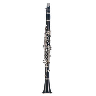 China - Fashion Transparent Reed Case Bass Clarinet Clarinet for sale