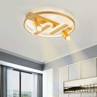 China High Grade LED Stepless Ddimming Acrylic Indoor Bedroom Living Room Outdoor Mounted Led Ceiling Light for sale