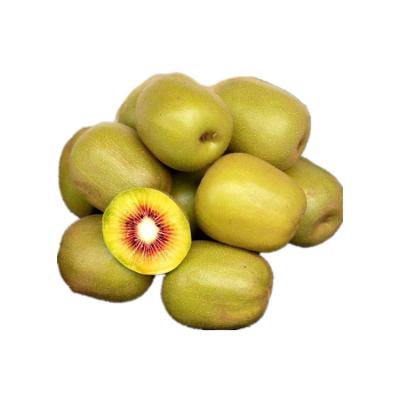 China High quality fresh chinese fresh design sucker kiwi fruit price for sale