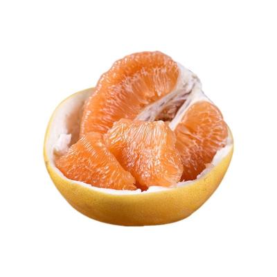 China New 2021fresh even fresh pomelo in the plastic pop it orangedesktop orangedehydrated honey orange gold Pemelo trash can desk for sale