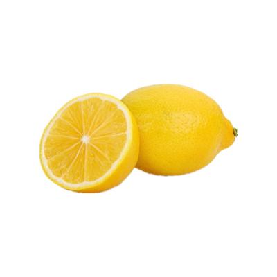 China Good Quality Fresh Decor Fruit Lemon Fruit Hot Selling Fresh Packaging for sale