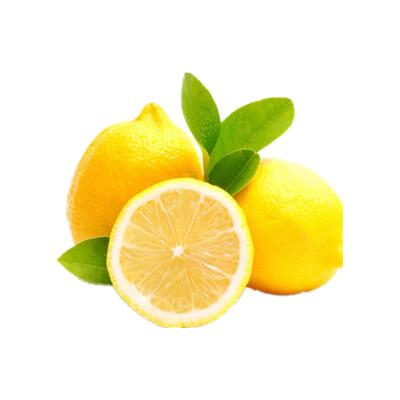 China New Type Wholesale New Fresh Lemon Sale Well Yellow Fruits for sale