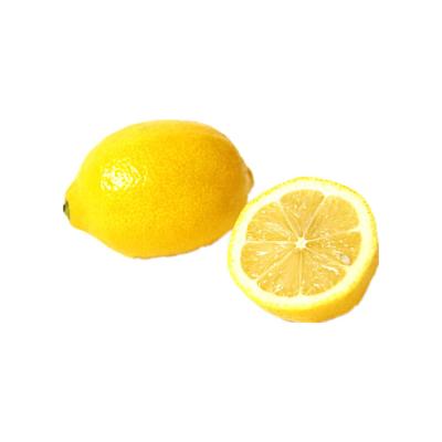 China Fresh unique design hot sale commercial juice lemon fruit for sale