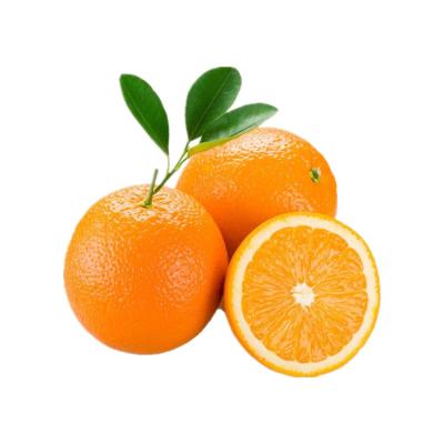 China Bulk Cheap Fresh Yellow Sweet Orange Fresh Features for sale