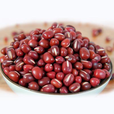 China HPS Culture Dried Common Red Bamboo Beans for sale