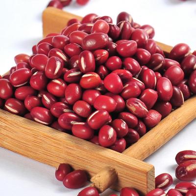 China Dried Natural Fresh Red Bamboo Beans for sale