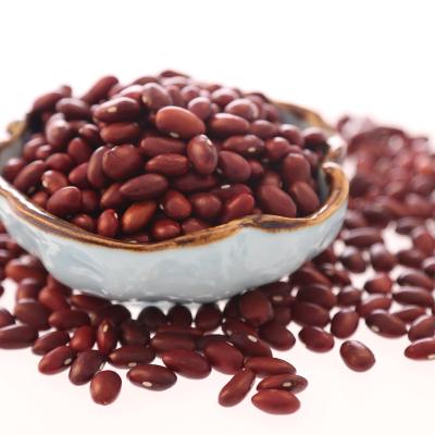 China Large and small size dried cooking red beans for sale