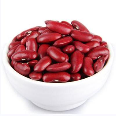 China Britain's Dried Kidney Kidney Bean Types of Kidney Beans for sale