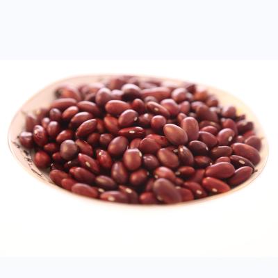 China Vigna Dry Type Dried Bush Bean Red Price for sale