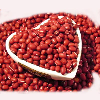 China Chinese Red Broad Beans Adzuki Dried Red Mung Beans for sale