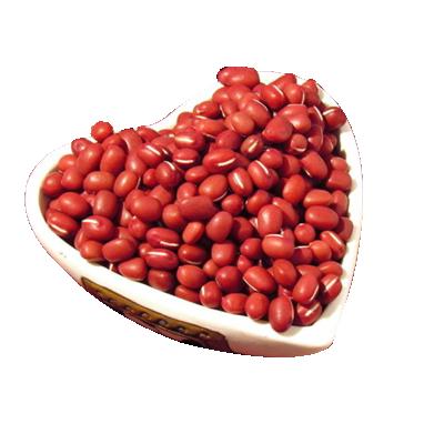 China Factory Supply Organic Vigna Umbellata Small Adzuki Dried Red Beans for sale