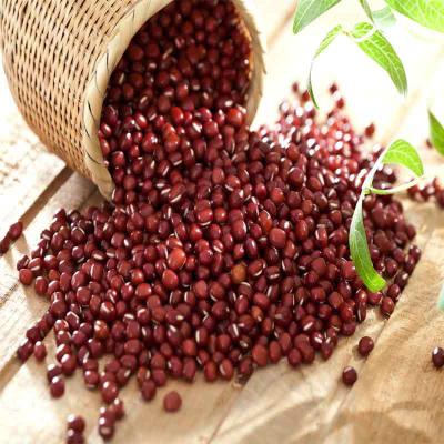 China Factory Supply New Crop Small Red Kidney Bean Dry Adzuki Bean for sale