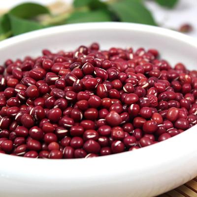 China Chinese small red bean adzuki beans dry adzuki bean for sale for sale