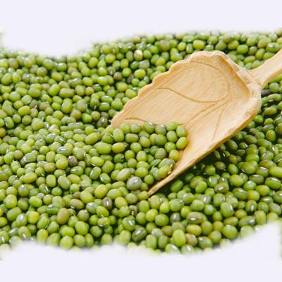 China wholesale best quality mung bean grains dried green medium vigna beans the export northeast mung beans for sale