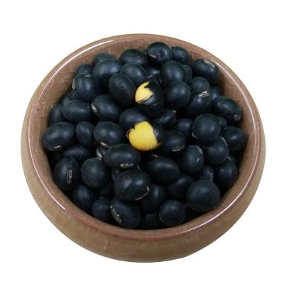 China Dried black soybeans with yellow core for sale