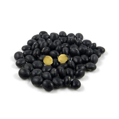 China Dried black soybeans with yellow kernel for sale