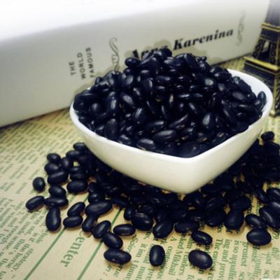 China Vegetable Seeds Organic Dried Black Beans for sale