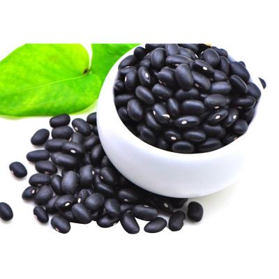 China Kidney Dried Organic Black Turtle Beans With Competitive Price for sale