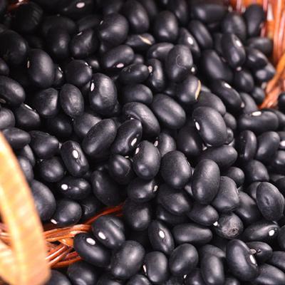 China Matpe Dried Black Beans for sale