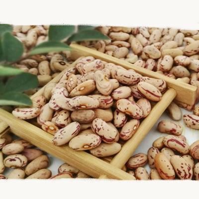 China LSKB Dwarf Beans Dry Spotted Kidney Beans Dry Heather Bean Kinds for sale