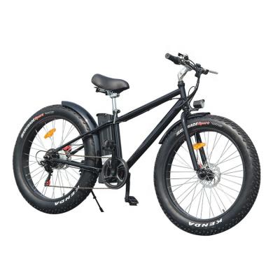 China Standard Fat Tire Electric Bicycle Powerful City Ebike (TBS06) for sale