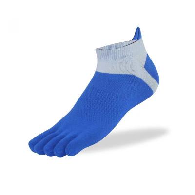 China Fashionable 100% Mid Calf Toe Socks Mens Sporty Cotton Socks for sale