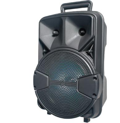 China Video Call ALP801 8 Inch RTS Portable Home Theater System Speaker With Free Wired And Remote Mic Outdoor for sale