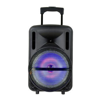 China 10 Inch Function Phone Best Cheap Rechargeable Trolley Party Outdoor Speaker With Wheels for sale