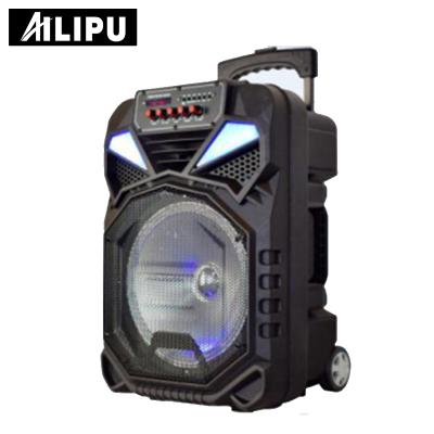 China High Quality Video Display Information Stereo Professional Party Portable Trolley Speaker With FM, REC for sale