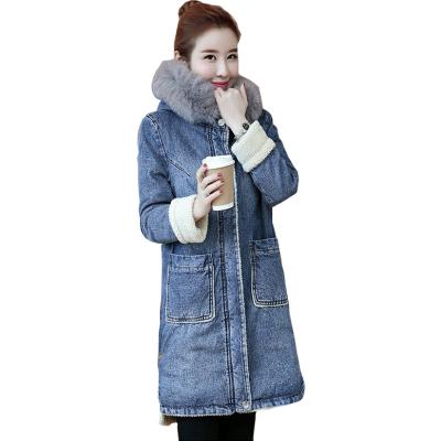 China Keep New Winter Denim Jacket Warm Wool Collar Padded Coat Wool Cotton Padded Jackets for sale