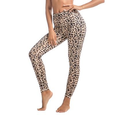 China Seamless Breathable High Waist Fitness Yoga Gym Clothing Women Leopard Workout Ladies Workout Ladies Gaiters Gym Clothing Set for sale