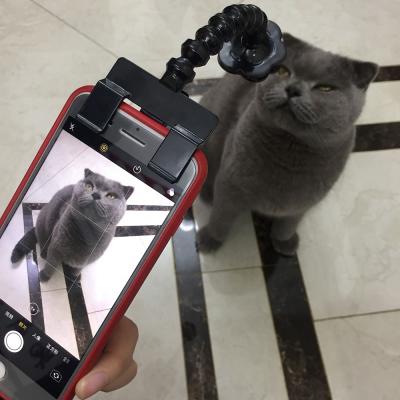 China Viable Wholesale Pet Toys Dog Selfie Stick Dog Selfie Dog Interactive Pet Clip for sale