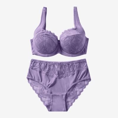 China High Quality Comfortable Women's Bra And Panty Set Lace Underwear And Bra Sets D Cup for sale