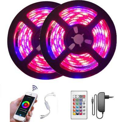 China DC 12V Color Waterproof Light 24 Keys Smart Light 24 Keys Waterproof Decoration RGB 5M LED Belt Light 5050 Strip Remote Controller for sale