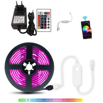 China 2020New Decoration Product 12v RGB Rgbw Magic Dream Color Programmable 10m 300leds IP65 IP20 RGB Led Strip for sale