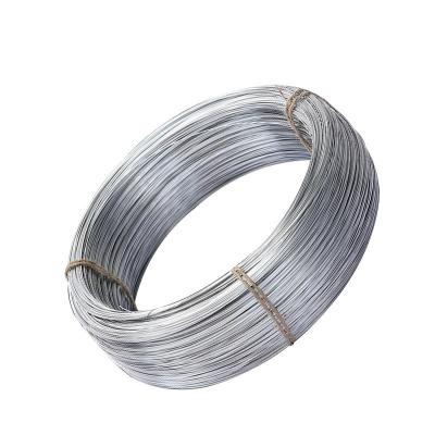 China 5mm Wide 0.4mm Zinc Coated Steel Wire for Durable Plant Support and Secure Tying Horticulture Grade Q195 Q235 for sale