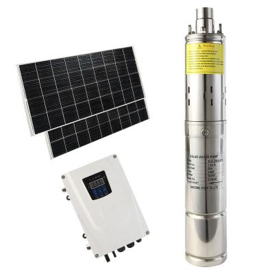 China Agriculture irrigation New Arrival 2 years warranty Stainless Steel FLS Screw DC Submersible Solar Water Pump for sale