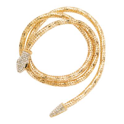 China Environmentally Friendly Alloy Inlaid Rhinestones Creative Exaggerated Snake Shaped Hollow Female Chain Necklace Chain Jewelry Personality New for sale