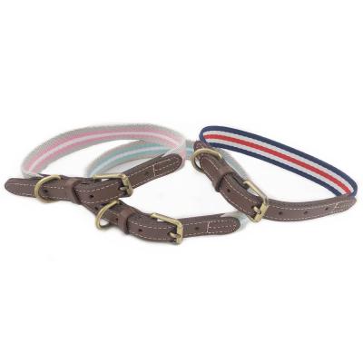 China Pet Accessories PU Metal Buckle Padded Leather Adjustable Dog Collar With Vintage Accessories for sale