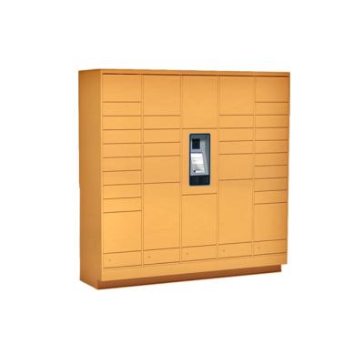 China Utilities Facotry OEM Digital Smart Electronic Smart Locker for sale