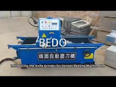 Electric Knife Sharpening Machine With Grinding Wheel Of 200mm At Speed 1400rpm