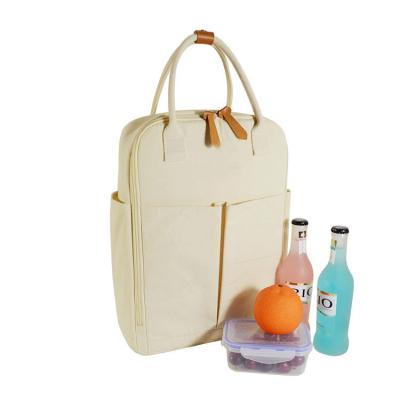 China Insulated Grocery Bags Insulated Lunch Bags Delivery Cooler Canvas Cooler Backpack Thermal Tote Portable Insulated Grocery Bags for sale