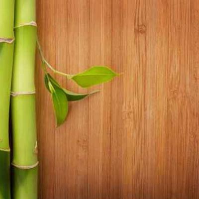 China Carbonized Wood Timber Flooring Standard Bamboo Wall Panel Solid Bamboo Flooring for sale