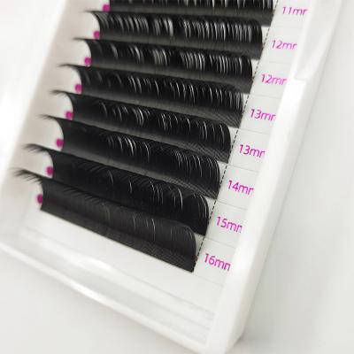 China Professional Eyelash Extension Tools Manufacturing Factory Wholesale Supplies Lash Extensions Private Logo Eyelash Extensions for sale