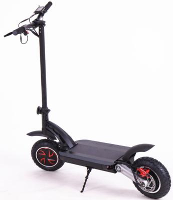 China 10 inch scooter with two big wheels long distance powerful electric scooter 800W 120*26*118cm for sale