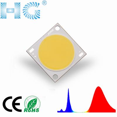 China Plant Growing / Other Full Spectrum Led Grow Light 380-840nm High Power Led Diode Led For Plant Growth Flood Light for sale