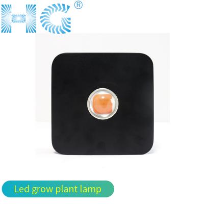 China New Design Aluminum New Design Full Spectrum 50W Cob Led Grow Light For Greenhouse Led Plant Growing Lamp for sale