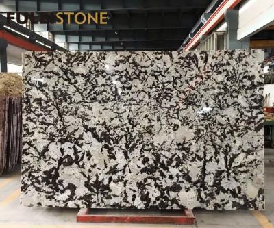 China Modern Luxury Color Jokul Brazil Granite Silver White Natural Stone Slab for sale