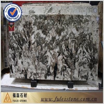 China Acid Resistant Snowfox Granite Slabs From Brazil Blanco Portiguar_Alpinus- for sale